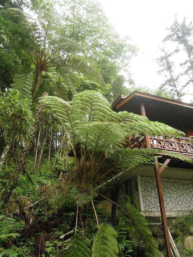 Fumei Bluebird Homestay نانزوانج المظهر الخارجي الصورة